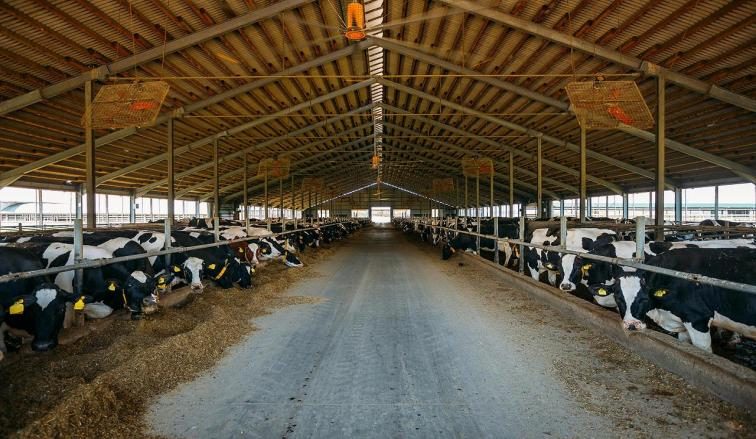Barn