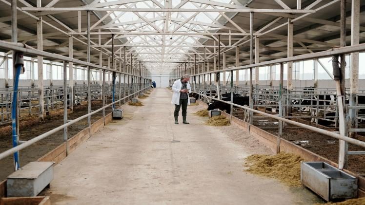 Barn interior