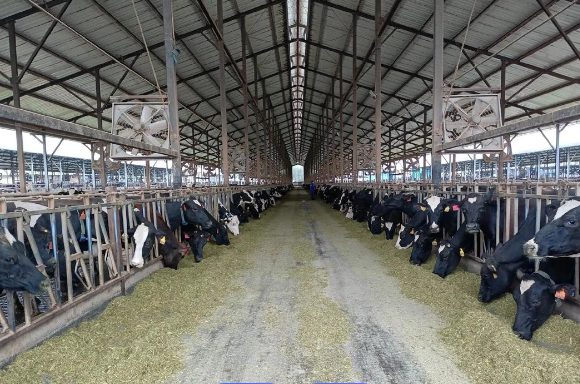 Barn